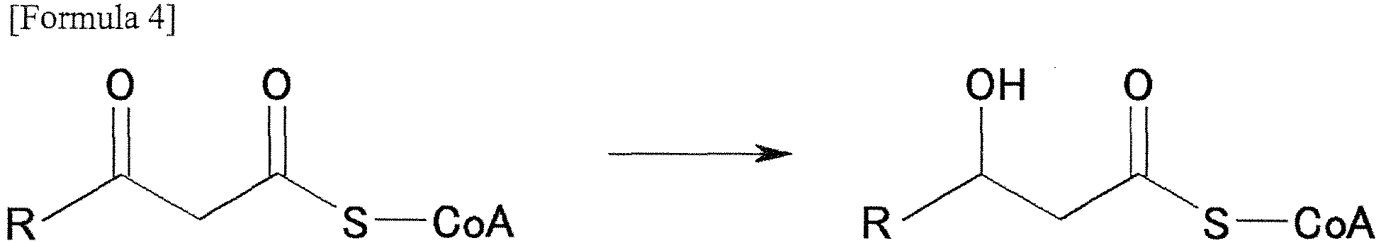 Figure imgb0041