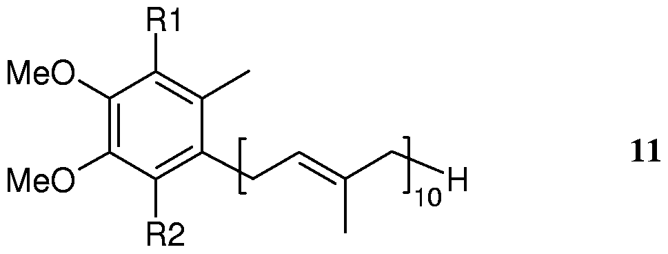 Figure imgf000017_0004