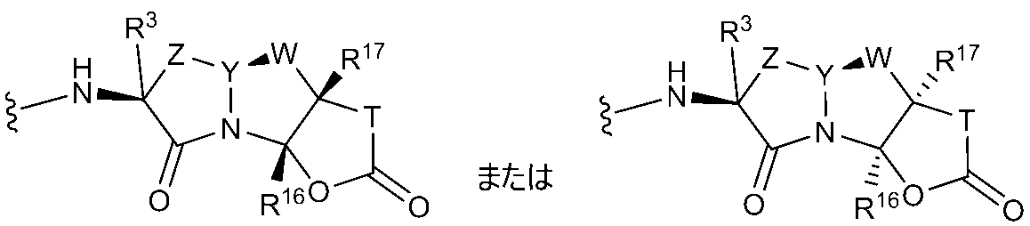 Figure JPOXMLDOC01-appb-C000146