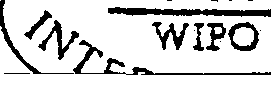 Figure imgf000007_0001