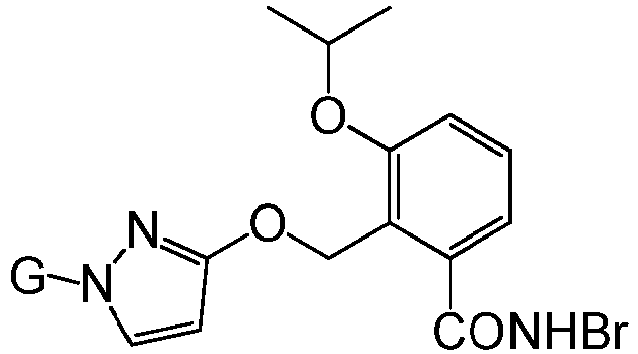 Figure imgb0977
