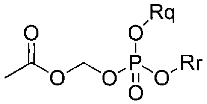 Figure pct00013