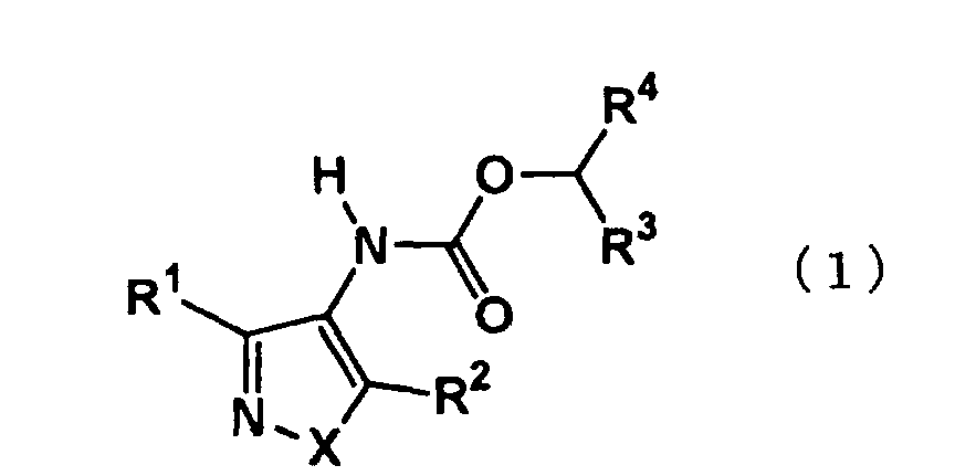 Figure 00300001