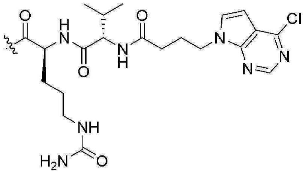 Figure pct00970
