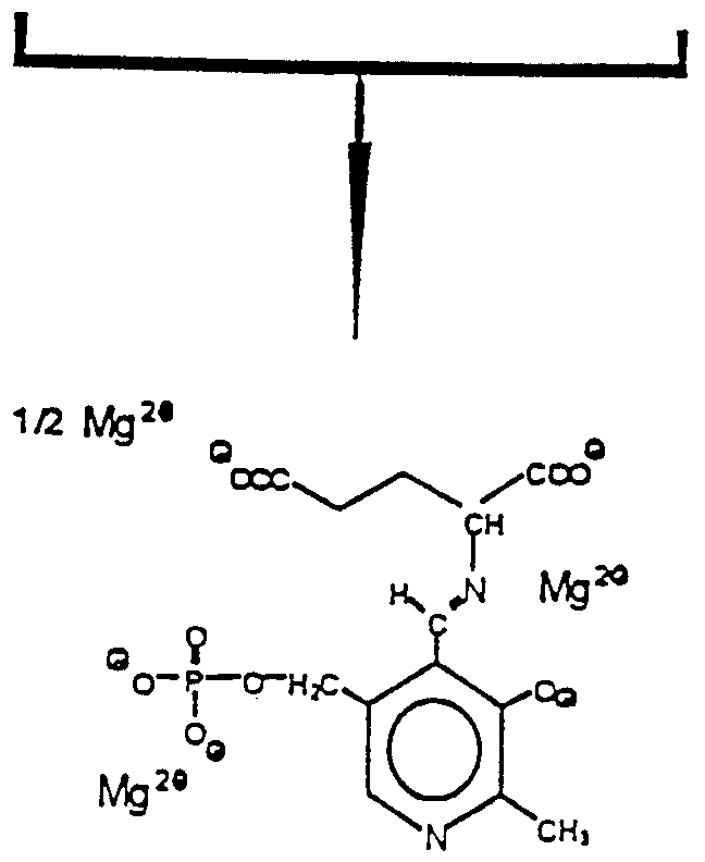 Figure imgf000005_0004