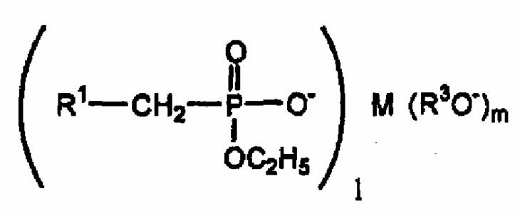 Figure JPOXMLDOC01-appb-C000019