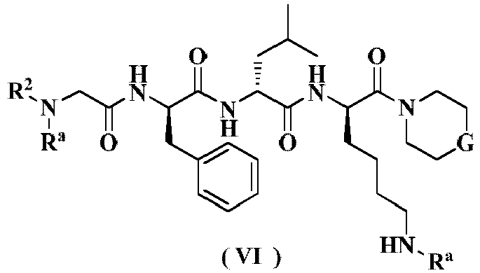 Figure imgb0076