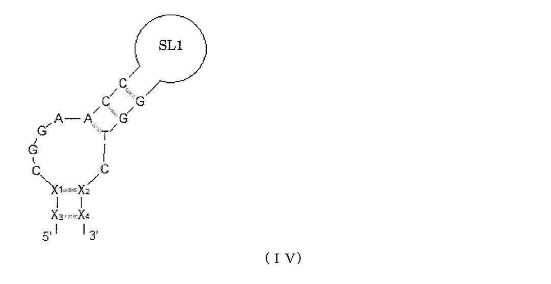 Figure JPOXMLDOC01-appb-C000005