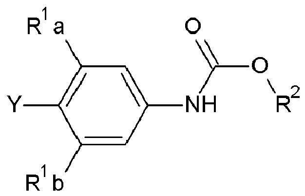 Figure imgb0061