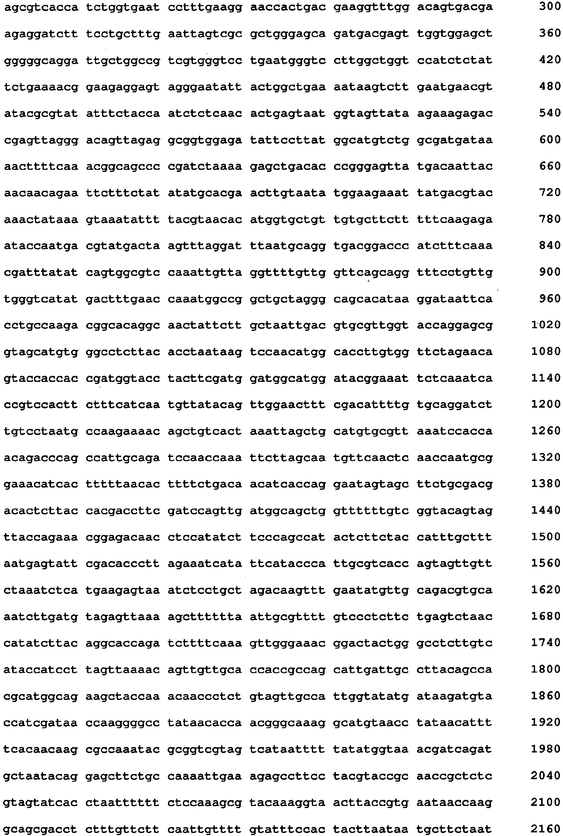 Figure imgb0019