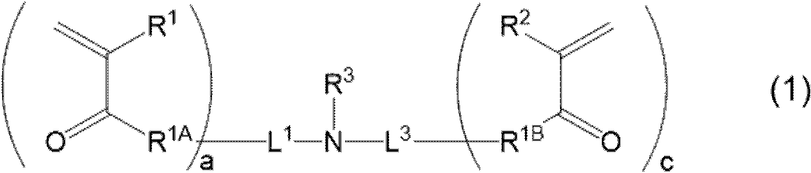 Figure JPOXMLDOC01-appb-C000001