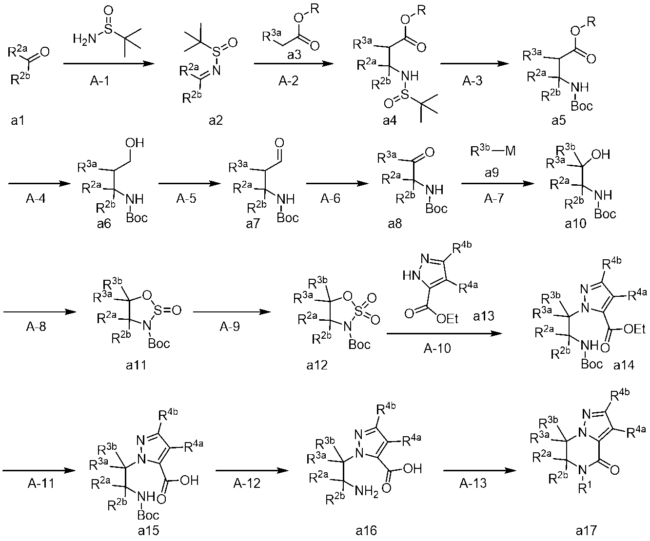 Figure JPOXMLDOC01-appb-C000043
