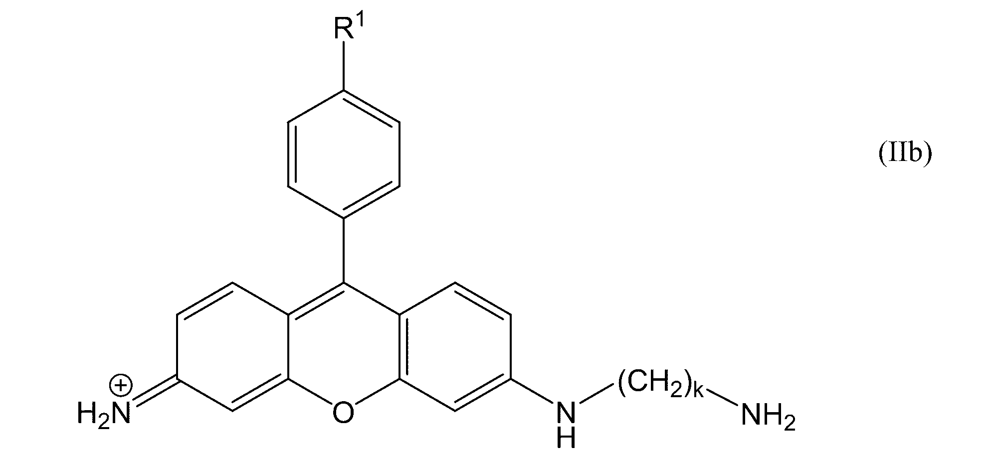 Figure JPOXMLDOC01-appb-C000016