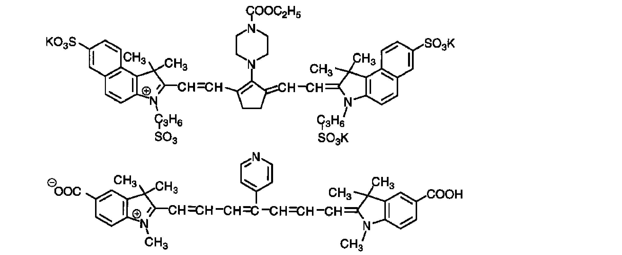 Figure JPOXMLDOC01-appb-C000021