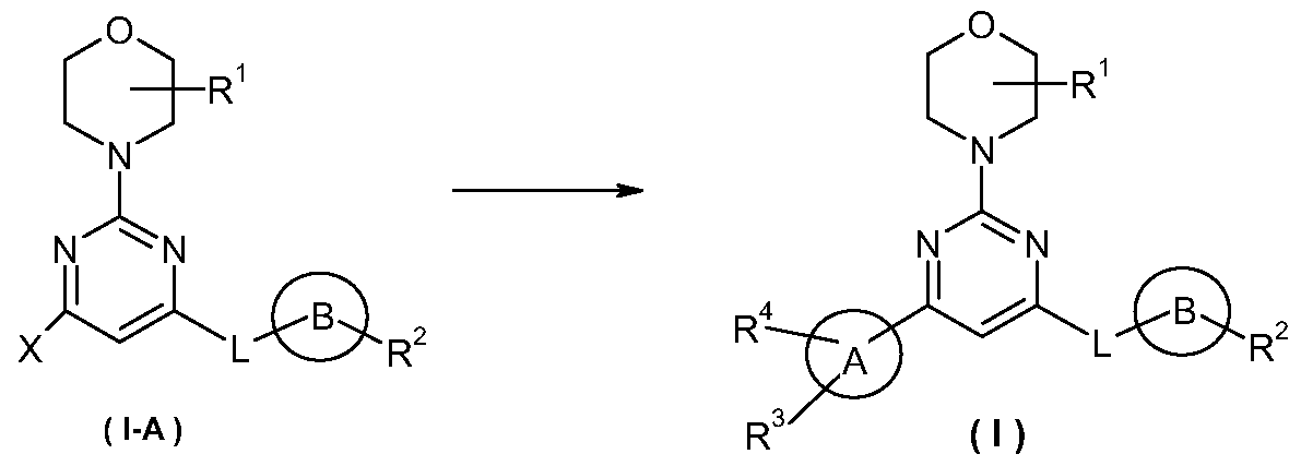Figure imgf000011_0003