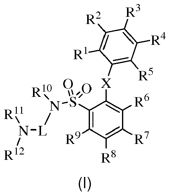 Figure imgb0024