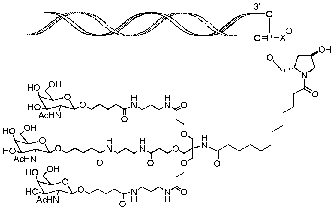 Figure imgf000006_0002