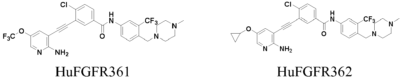 Figure imgb0055