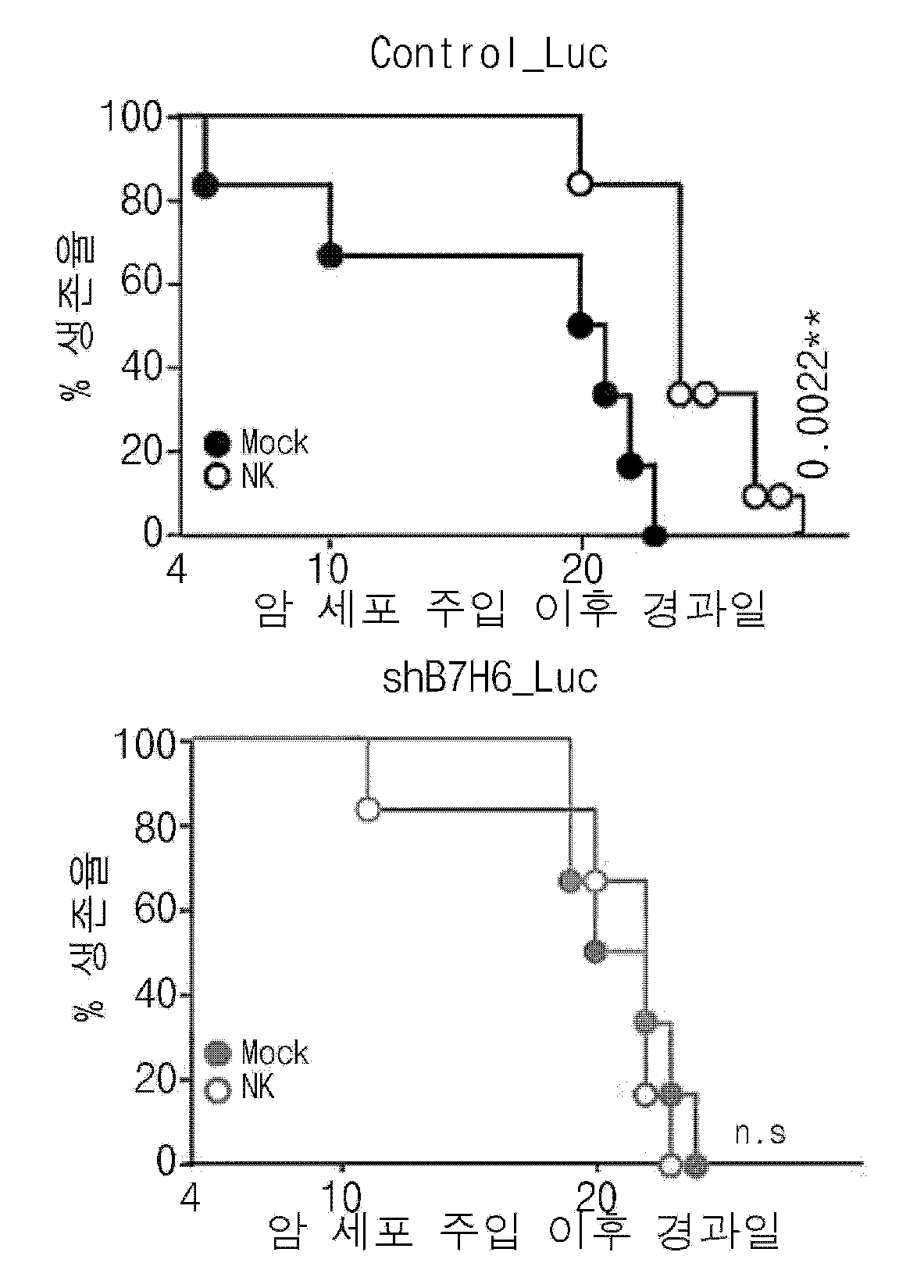 특허 도면 13