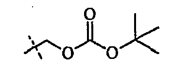 Figure imgb0100