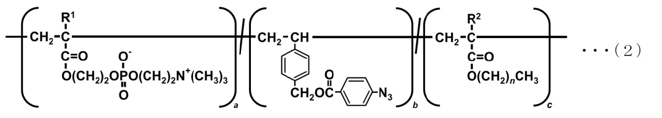 Figure JPOXMLDOC01-appb-C000010