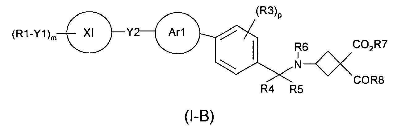 Figure imgb0110