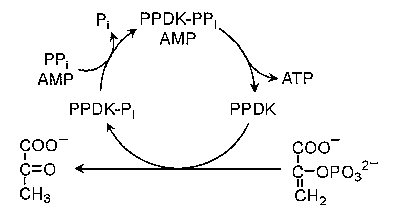 Figure JPOXMLDOC01-appb-C000001