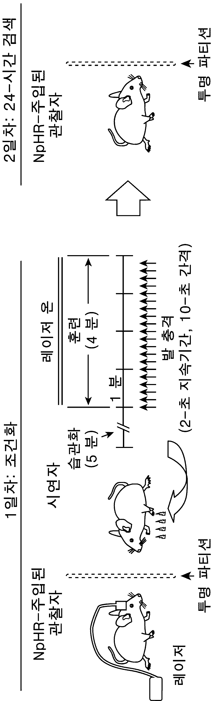 특허 도면 49