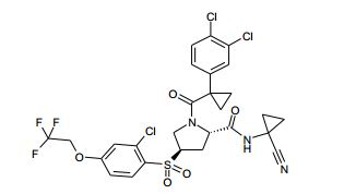 Figure img0255