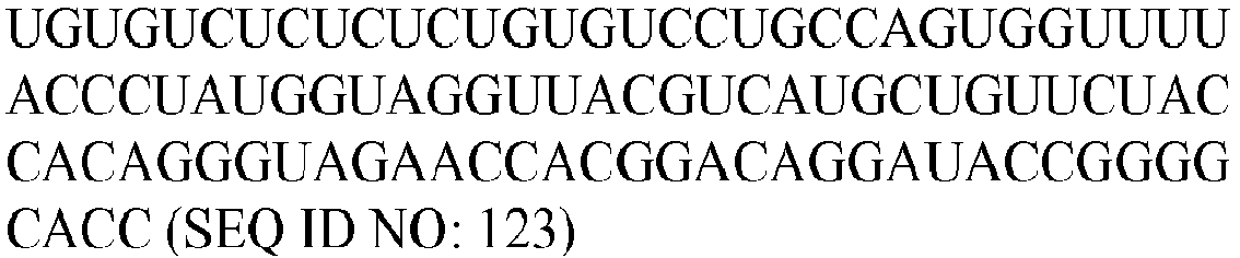 Figure imgb0122