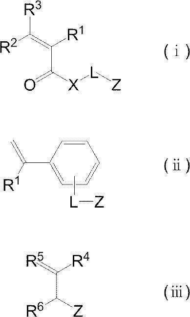 Figure JPOXMLDOC01-appb-C000019