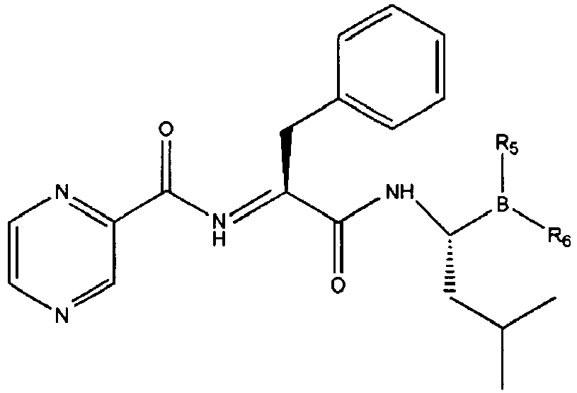 Figure imgb0033