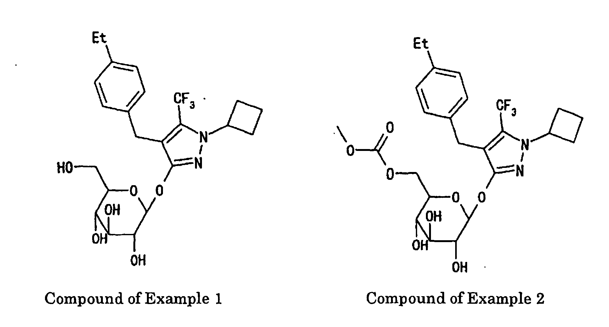 Figure 00310001