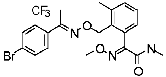 Figure imgb0555