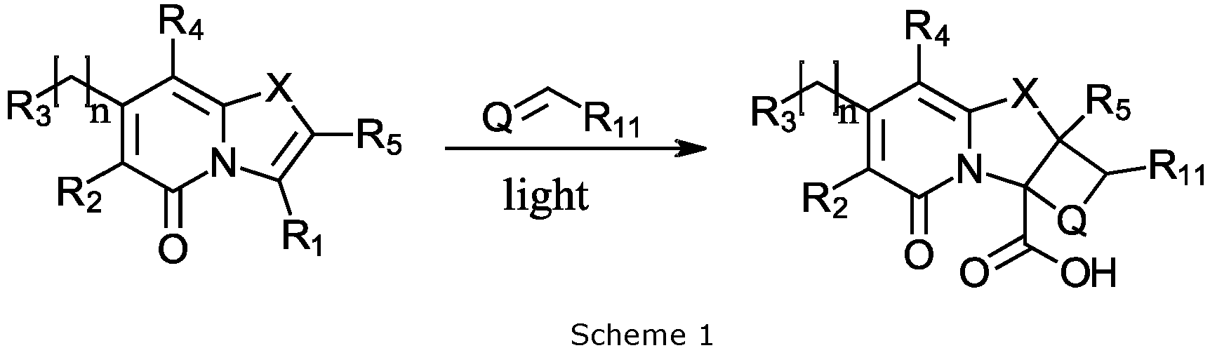 Figure imgb0010