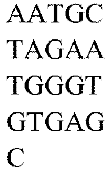 Figure imgb0411