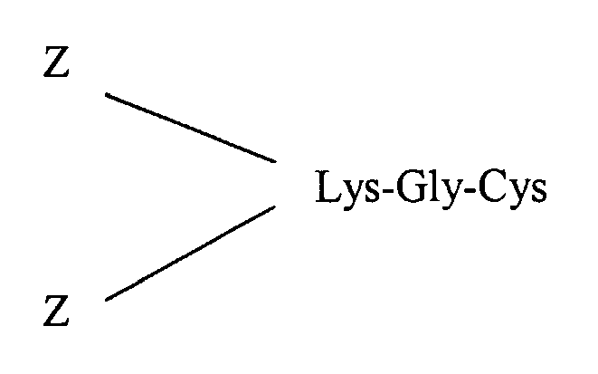 Figure imgb0005