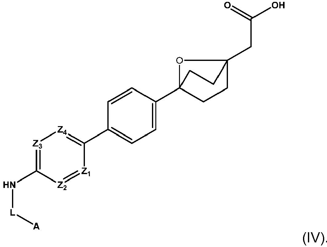 Figure imgb0004