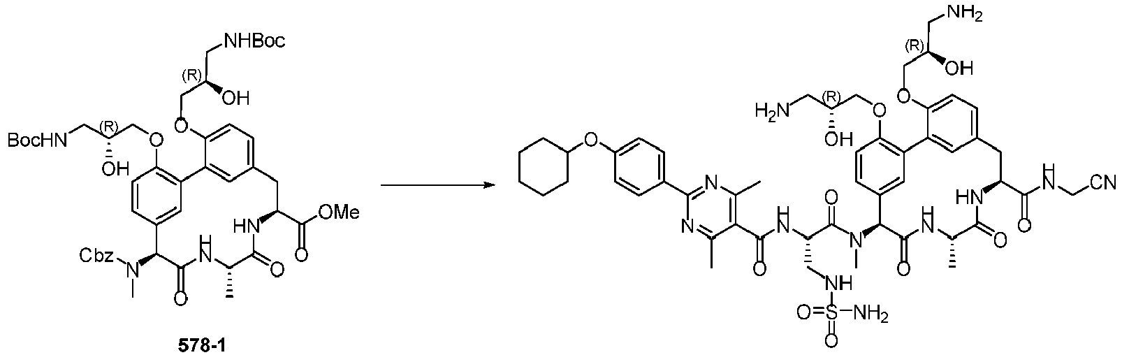 Figure imgb1027