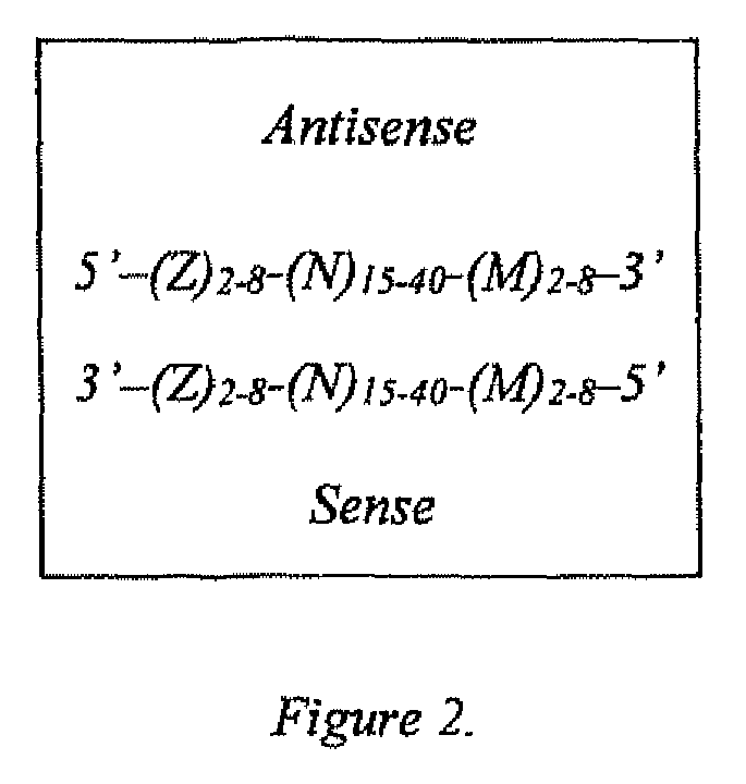 Figure imgb0002