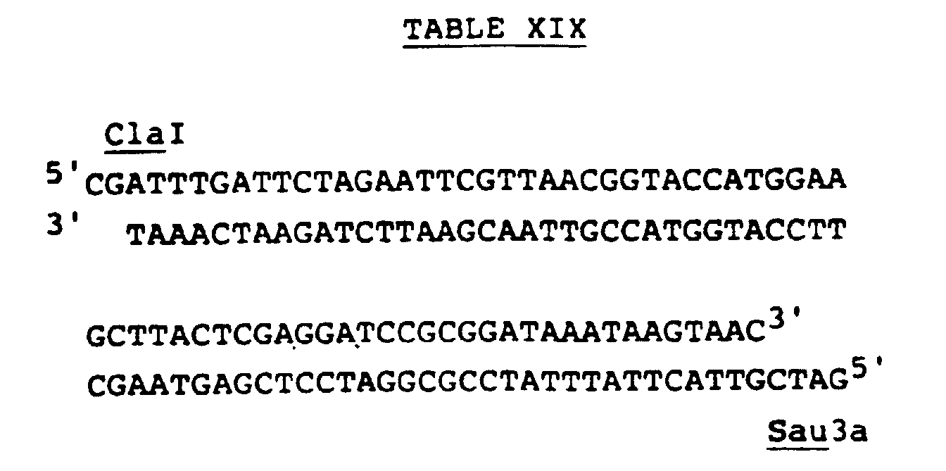 Figure 00310001