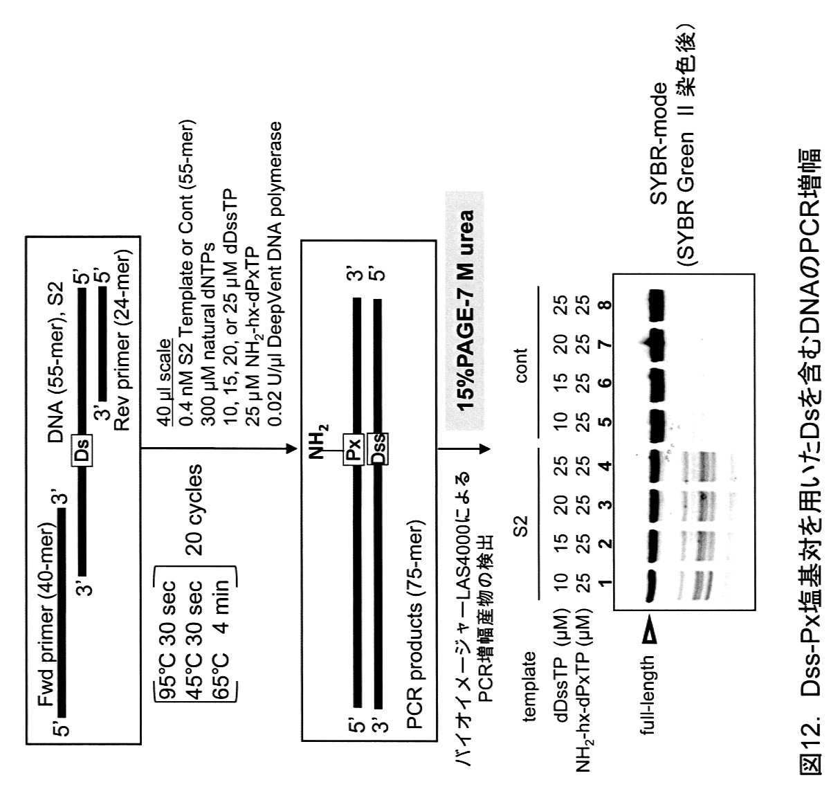 Wo2011132801a1 Nucleic Acid Base Analog With Quenching Characteristics And Fluorescence And Application Thereof Google Patents