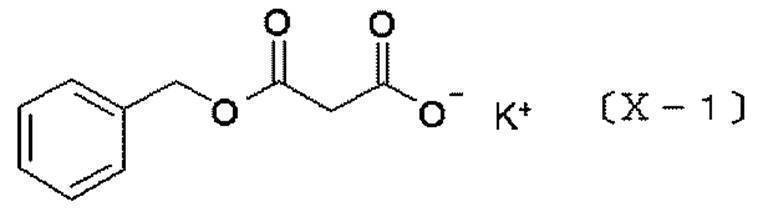 Figure JPOXMLDOC01-appb-C000066
