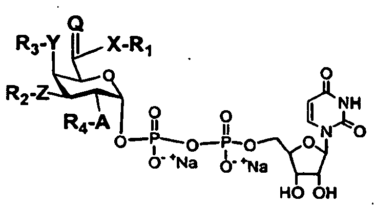 Figure imgb0021