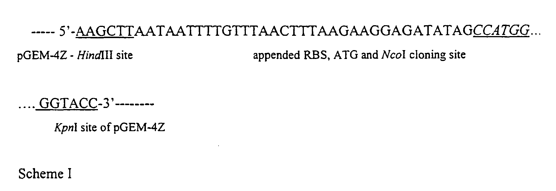 Figure 00610001