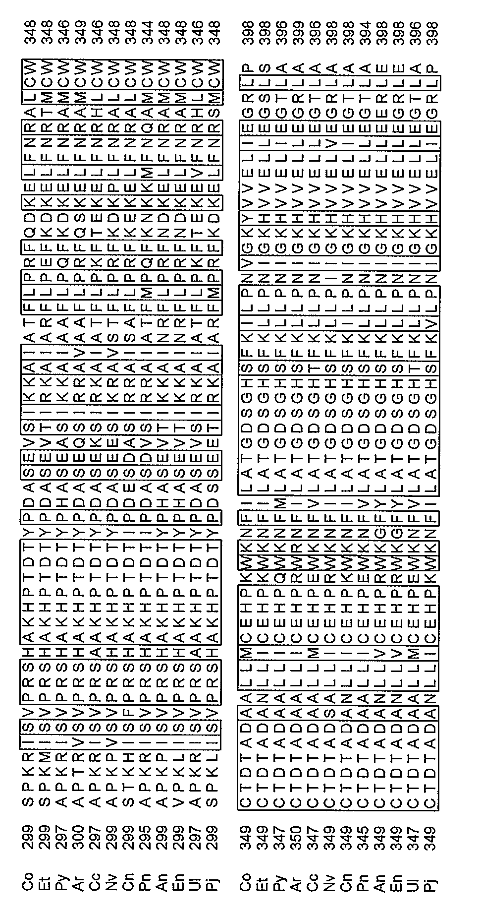 Wo2019045052a1 糖化ヘモグロビンオキシダーゼ改変体及び測定方法 Google Patents