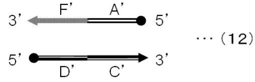 Figure JPOXMLDOC01-appb-C000012