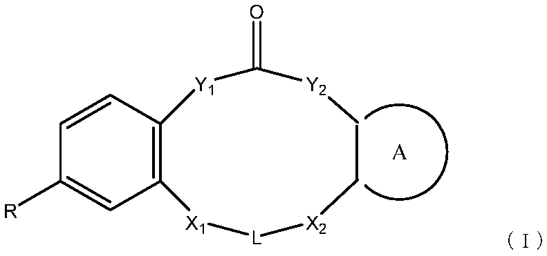 Figure JPOXMLDOC01-appb-C000001