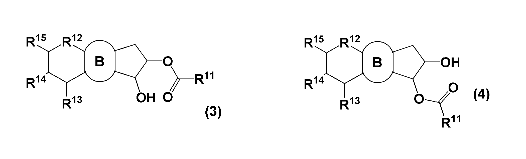 Figure JPOXMLDOC01-appb-C000013