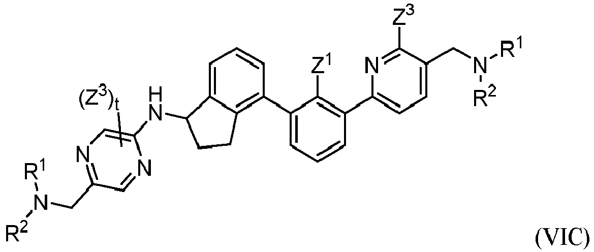 Figure imgb0496